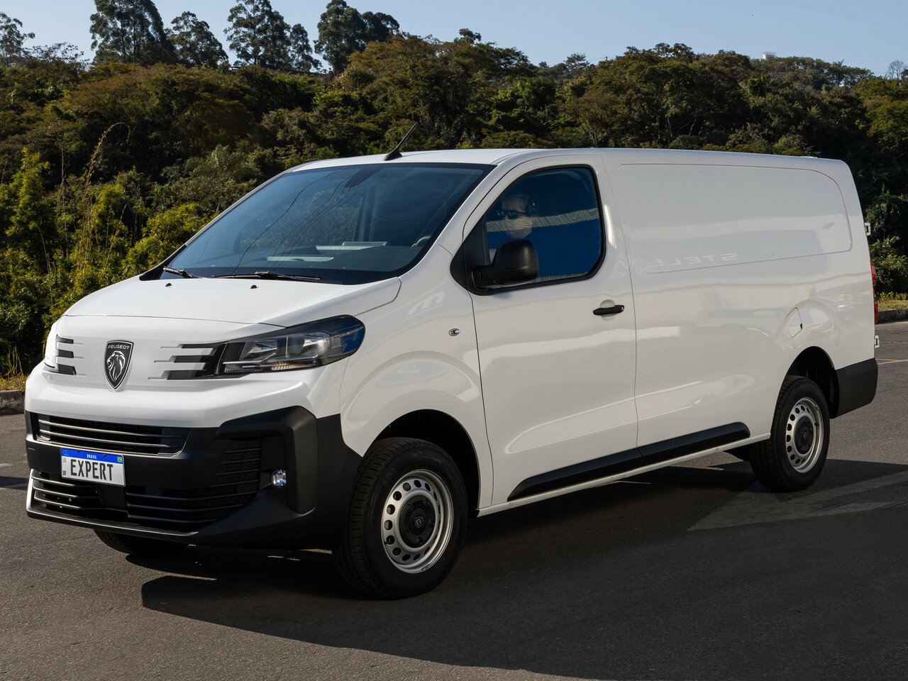 Подбор шин на Peugeot Expert III